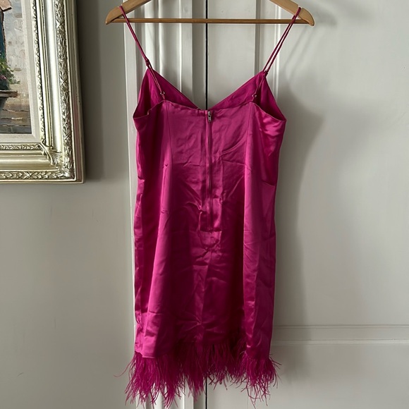 CAMI NYC Roxanne feather dress nwt - Picture 4 of 4